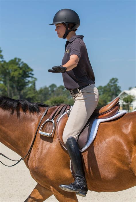 Going Round and Round - Improve Your Riding with Longe Lessons | Horse ...