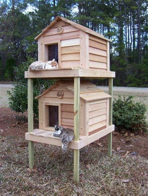 Insulated Cat House for Domestic or Feral Cats - FREE SHIPPING ...