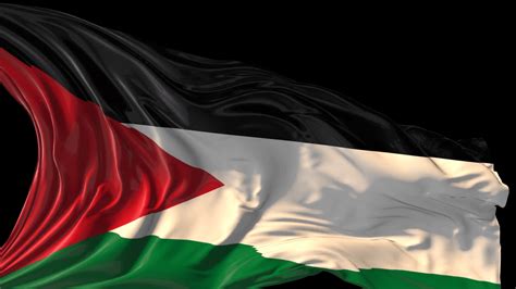 Palestine Flag Wallpaper