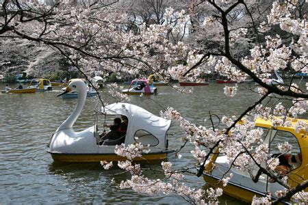 Inokashira Park | The Expat's Guide to Japan