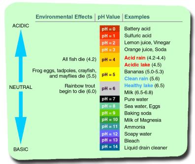 The pH Scale | History, Use & Purpose | Study.com