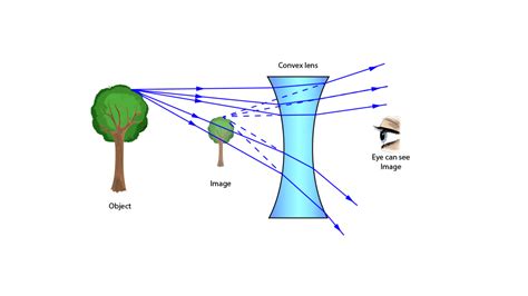 Why does a concave lens make things look smaller?