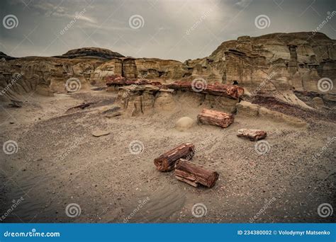 Remains of a Fossilized Tree, Unusual Place on Earth in Bisti Badlands ...