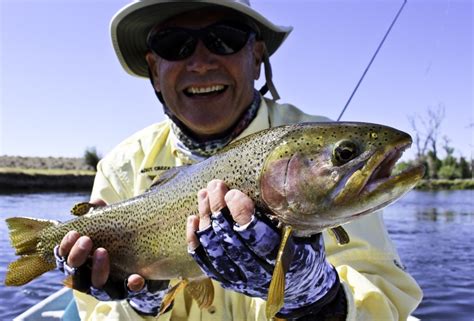 Wyoming fishing guides : Bighorn River, Green River, Wind River ...