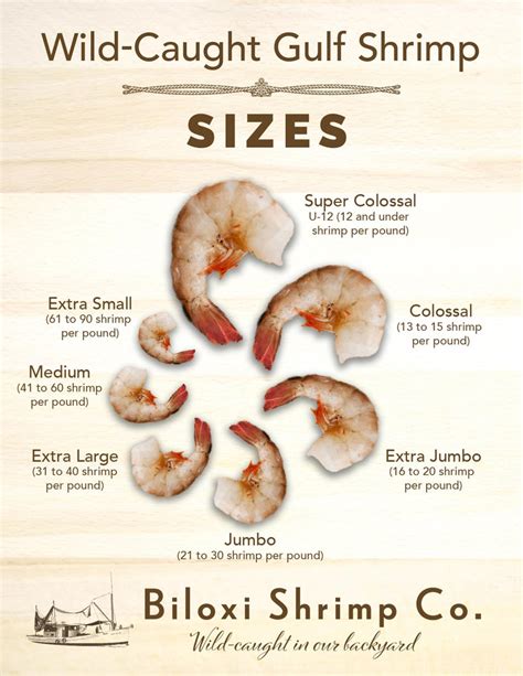 Order Extra Jumbo Tail-On Gulf Shrimp in the U.S. – Biloxi Shrimp Co.