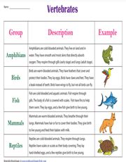 Vertebrates and Invertebrates Worksheets