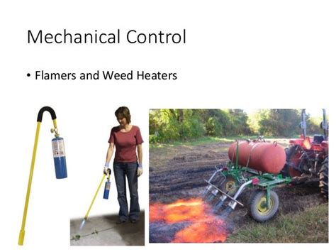 Weed Control Methods