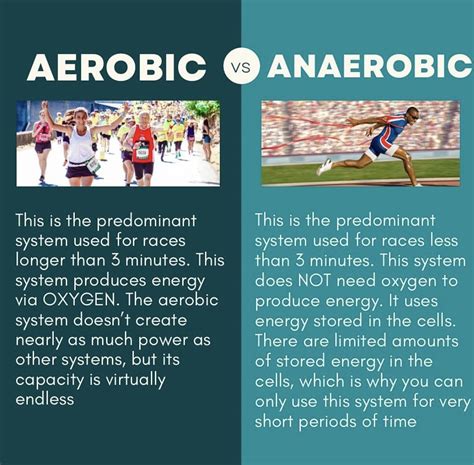 Aerobic VS Anaerobic — RunVerity