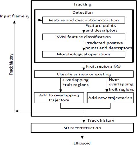 Figure 2.1 from Computer Vision Algorithms For An Automated Harvester ...