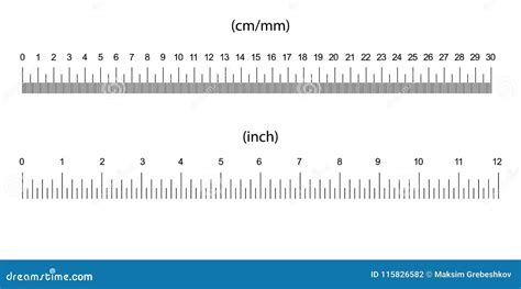 Ruler Size Indicators Vector Illustration | CartoonDealer.com #115826582