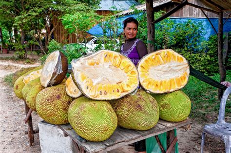 Jackfruit, The Tastiest Fruit You've Never Eaten!