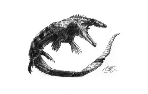 Prognathodon stadtmani by *greeni-studio on deviantART greeni-studio ...