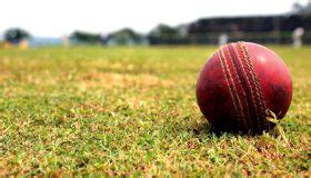 10 completely professional cricket photography tips that will shock you!