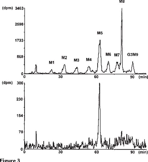 dolichol pyrophosphate | Semantic Scholar