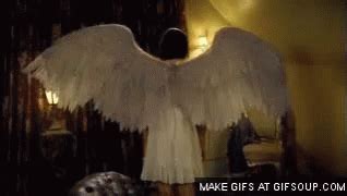 Angel Wings GIF - Wing Wings Angel - Discover & Share GIFs