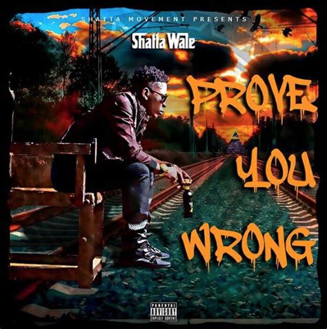 Shatta Wale - Prove You Wrong - Latest Naija Nigerian Music, Songs & Video