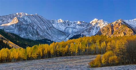 10 Beautiful Photos of Aspen Fall Colors from the 2016 Aspen Photo ...