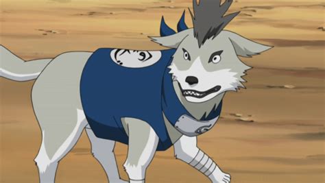 Shiba | Narutopedia | FANDOM powered by Wikia