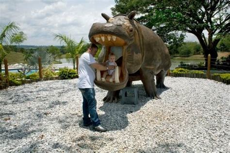 Pablo Escobar’s hippos: How the cocaine king’s pet project turned into ...