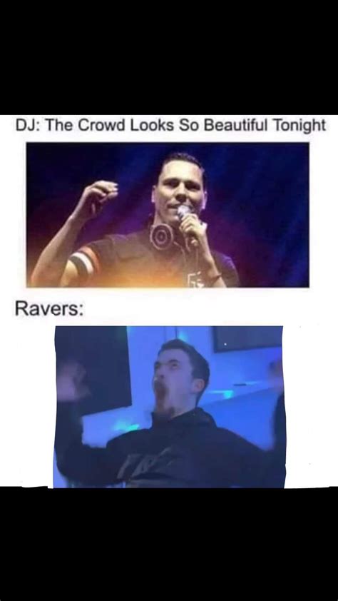 yes, another bass face meme : r/aves