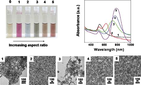 The optical properties of gold and silver nanoparticles change ...