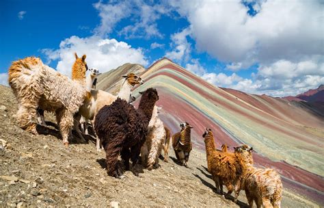 The Ultimate Rainbow Mountain Peru Travel Guide | Selina