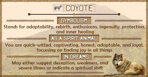 Coyote meaning and symbolism, coyote as a spirit animal, what does it ...