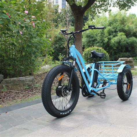 Big Size Electric Motorized 3 Wheel Bicycle with Rear Basket - China ...