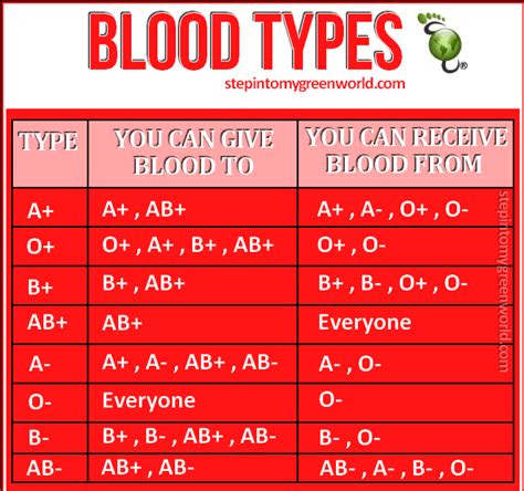 Blood Types | Belladonna Blogs