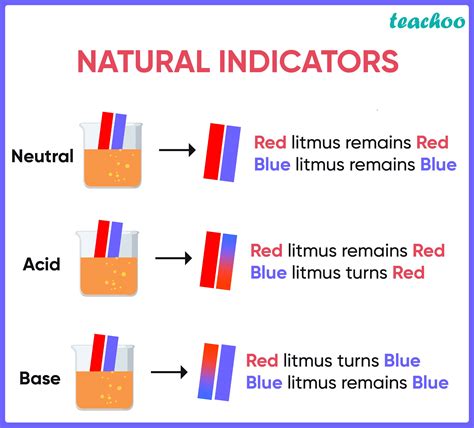 [Class 7] Litmus paper test - How does it work? - Teachoo