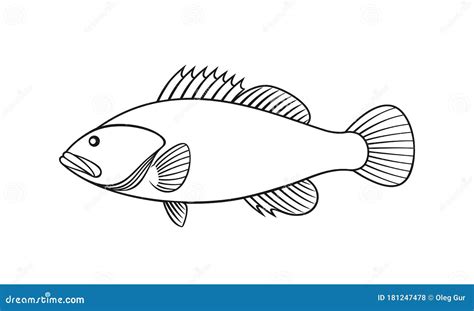 Spotted Grouper Silhouette. Isolated Grouper On White Background ...