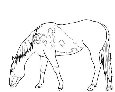 Mustang Horse Outline Coloring Pages