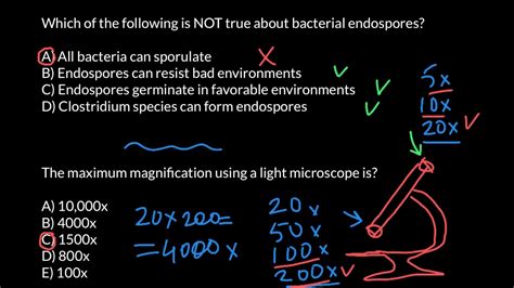 Compound Light Microscope Magnification Calculation | Shelly Lighting