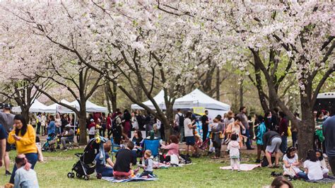 Guide to the 2023 Philadelphia Cherry Blossom Festival - Visit Philadelphia