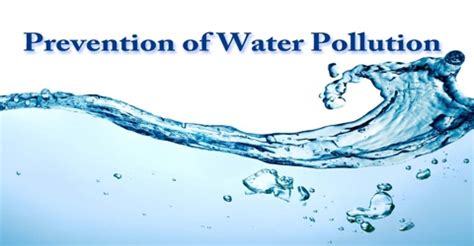 Prevention of Water Pollution - Assignment Point