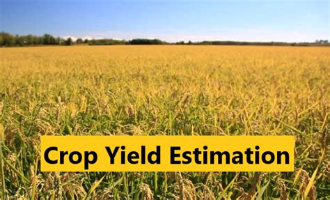 Crop Yield Estimation, Definition of biological yield and economic ...