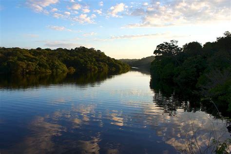 Jaú National Park: A Vast & Untouched Amazon Wilderness| LAC Geo