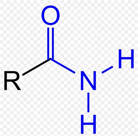 Amide Functional Group Amine Carboxylic Acid Carbonyl Group, PNG ...