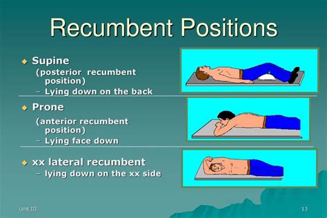 Dorsal Recumbent Position Definition And Purpose Nurse Theory | atelier ...