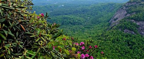 Hiking Chimney Tops Trail - Smoky Mountains TN