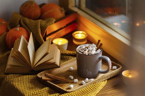 7 Pumpkin Spice Must-Haves For Fall [Updated For 2024]