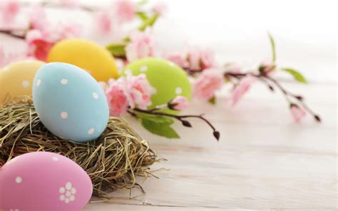 16 Easter Backgrounds for Zoom, Teams & Skype - Funny Meeting Backgrounds