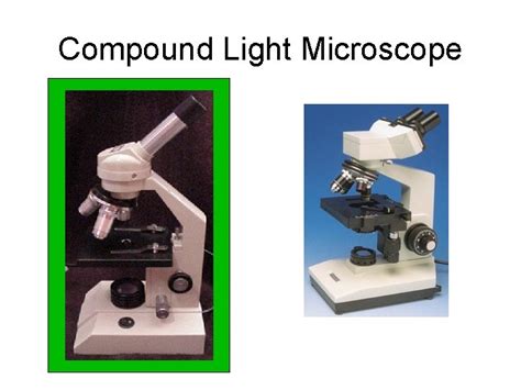 Scientific Tools Microscope Birth of the Microscope 1590