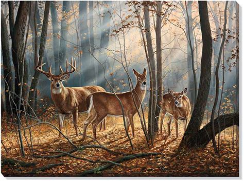 Woodland Splendor Whitetail Deer Wrapped Canvas Giclee Print Wall Art ...