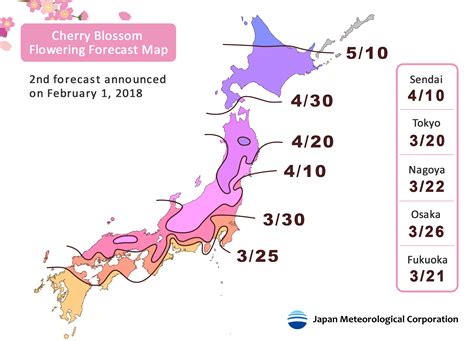 Japan's cherry blossom viewing may come early this year, says weather ...