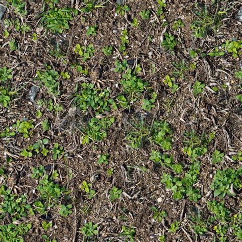 Boden Mit Der Gekeimten Gras-Beschaffenheit Nahtlos. Stockfoto - Bild ...