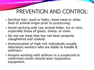 anthrax virus | PPT