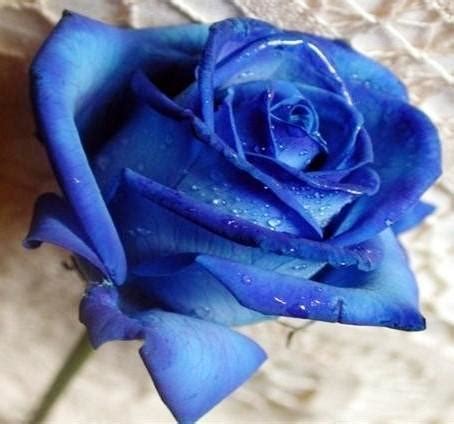 Compartilhar 77+ imagem rosa azul o que significa - br.thptnganamst.edu.vn