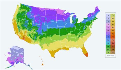 Planting Zones Map - Find Your Plant Hardiness Growing Zone | Planting ...