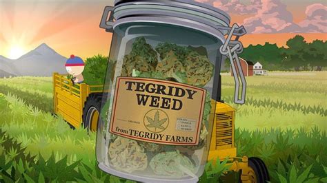 Randy and Towelie introduce a product with Tegridy. | Park south, South ...